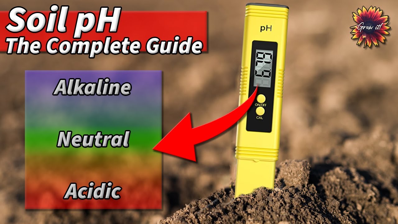 How to know Soil pH level (માટીનું pH લેવલ કેવી રીતે જાળવવું)