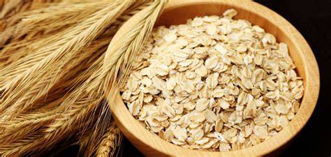 Oats ( ઓટ્સ )