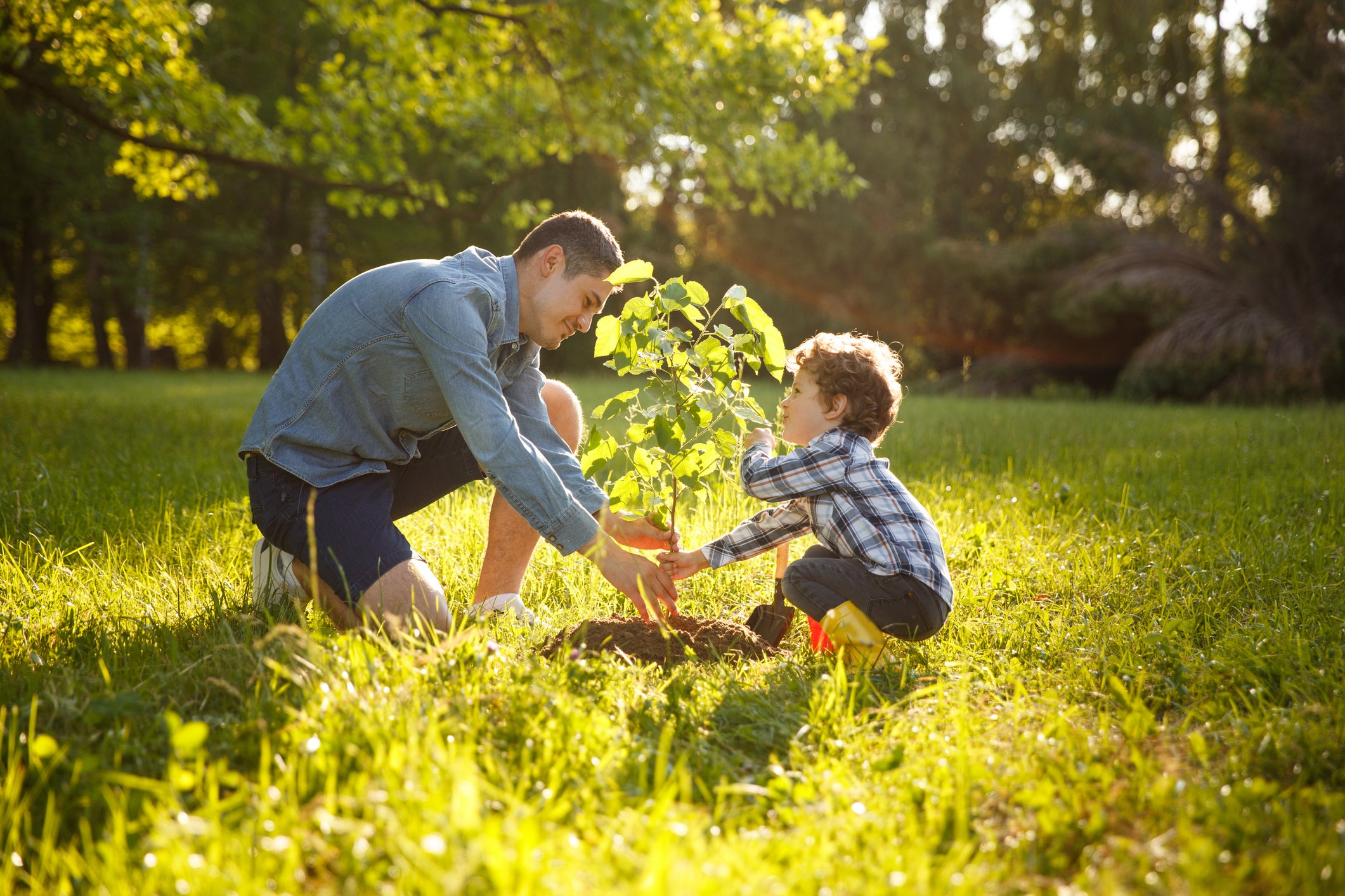 Eco-Friendly Living: 7 Simple Changes to Make a Big Environmental Impact