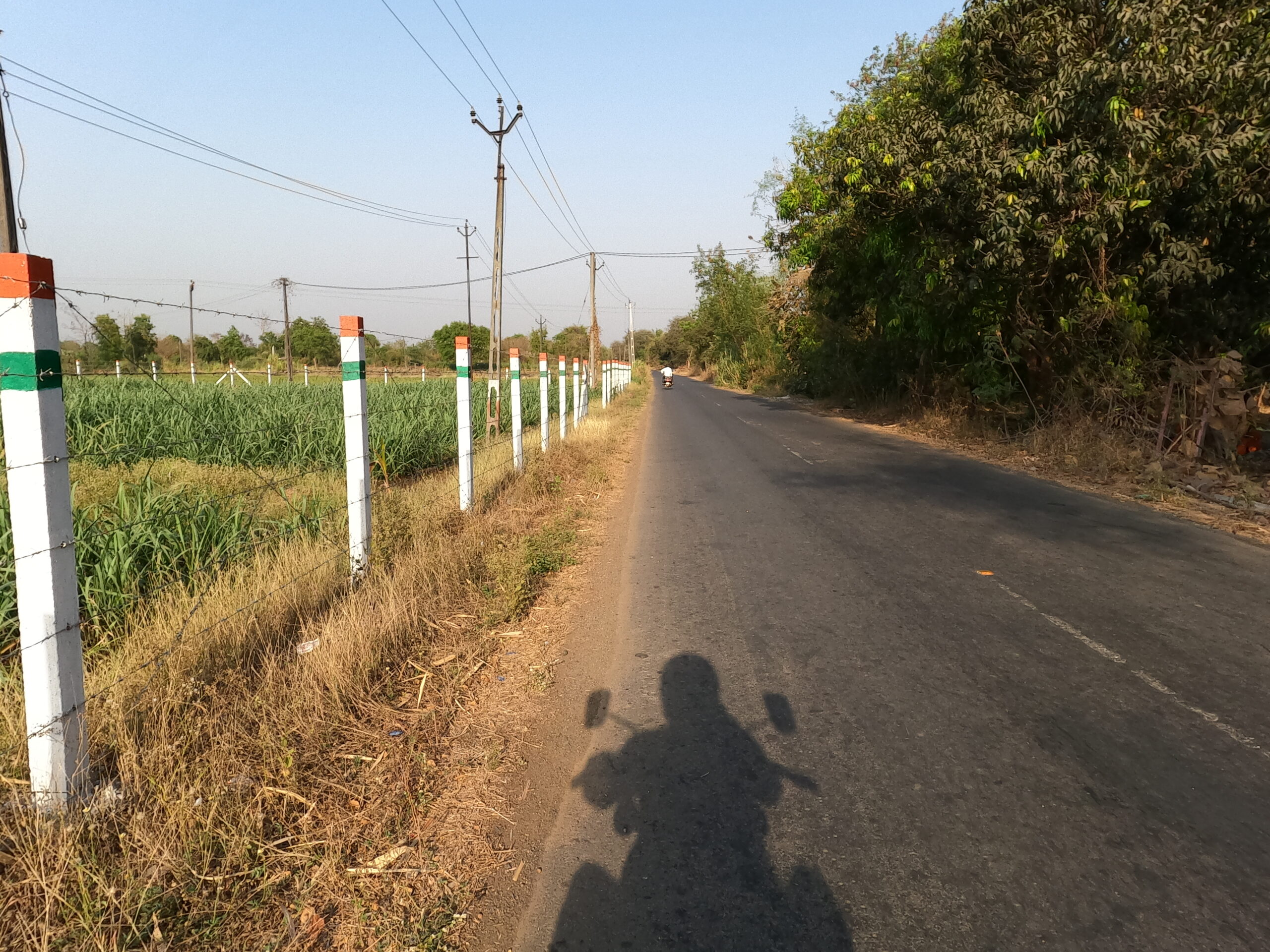 Nature’s Embrace: A Snapshot of Peaceful Rural Travel