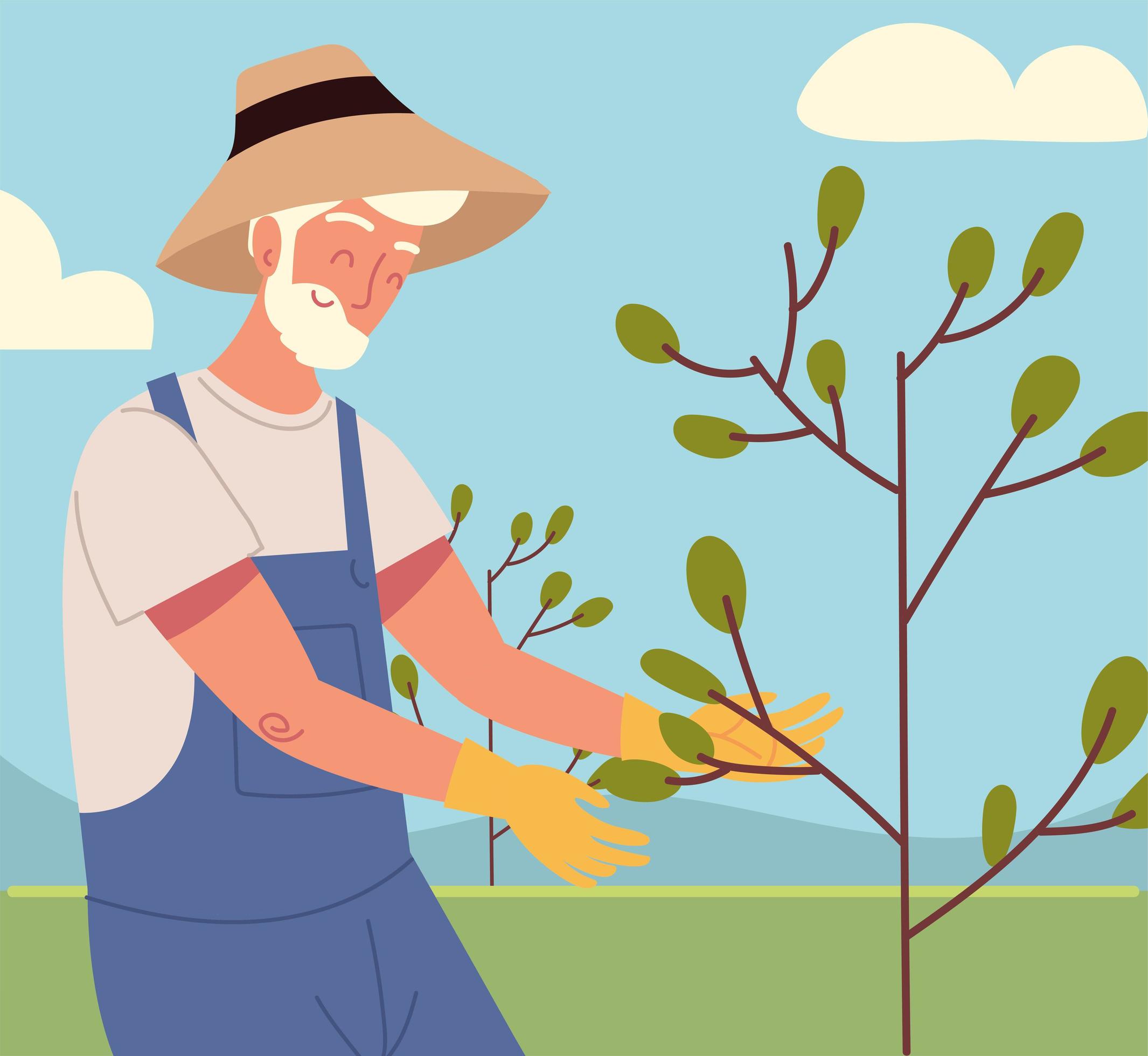 The Old Man And Banyan Tree